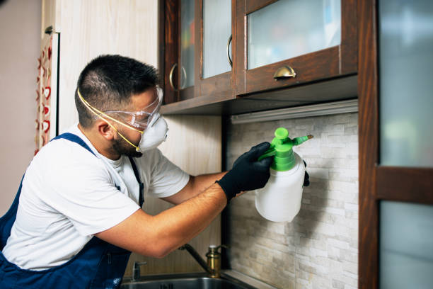 Best Mosquito Control Services  in Oliver Springs, TN