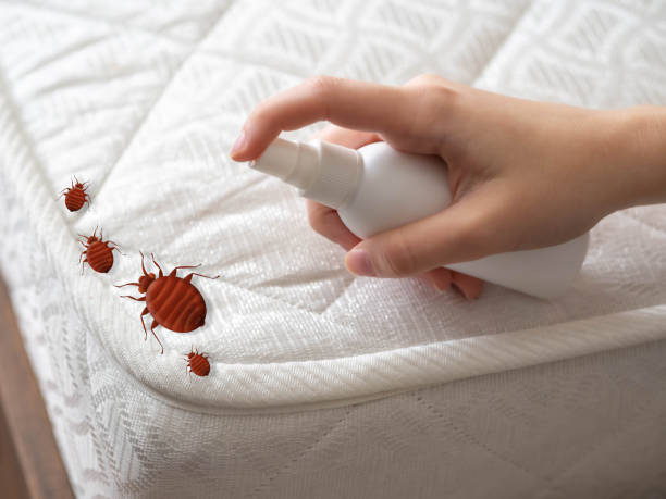 Best Pest Removal Services  in Oliver Springs, TN